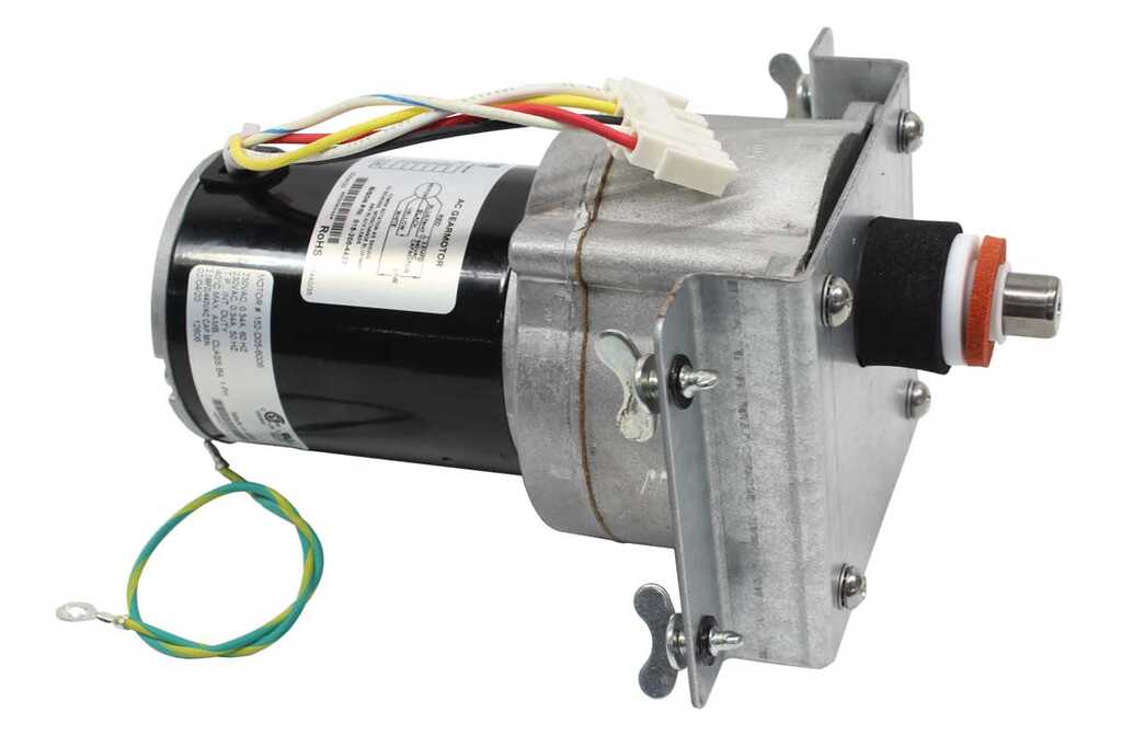 620307902: Agitator Motor, 220/240V